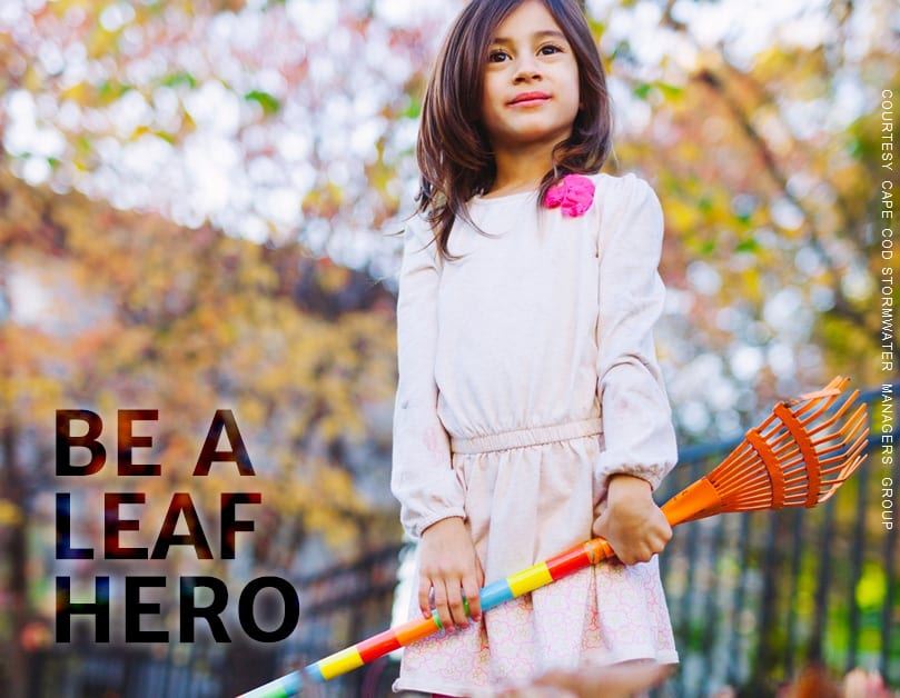 Image fo Cape Cod Stormwater Managers Group - Leaf Hero