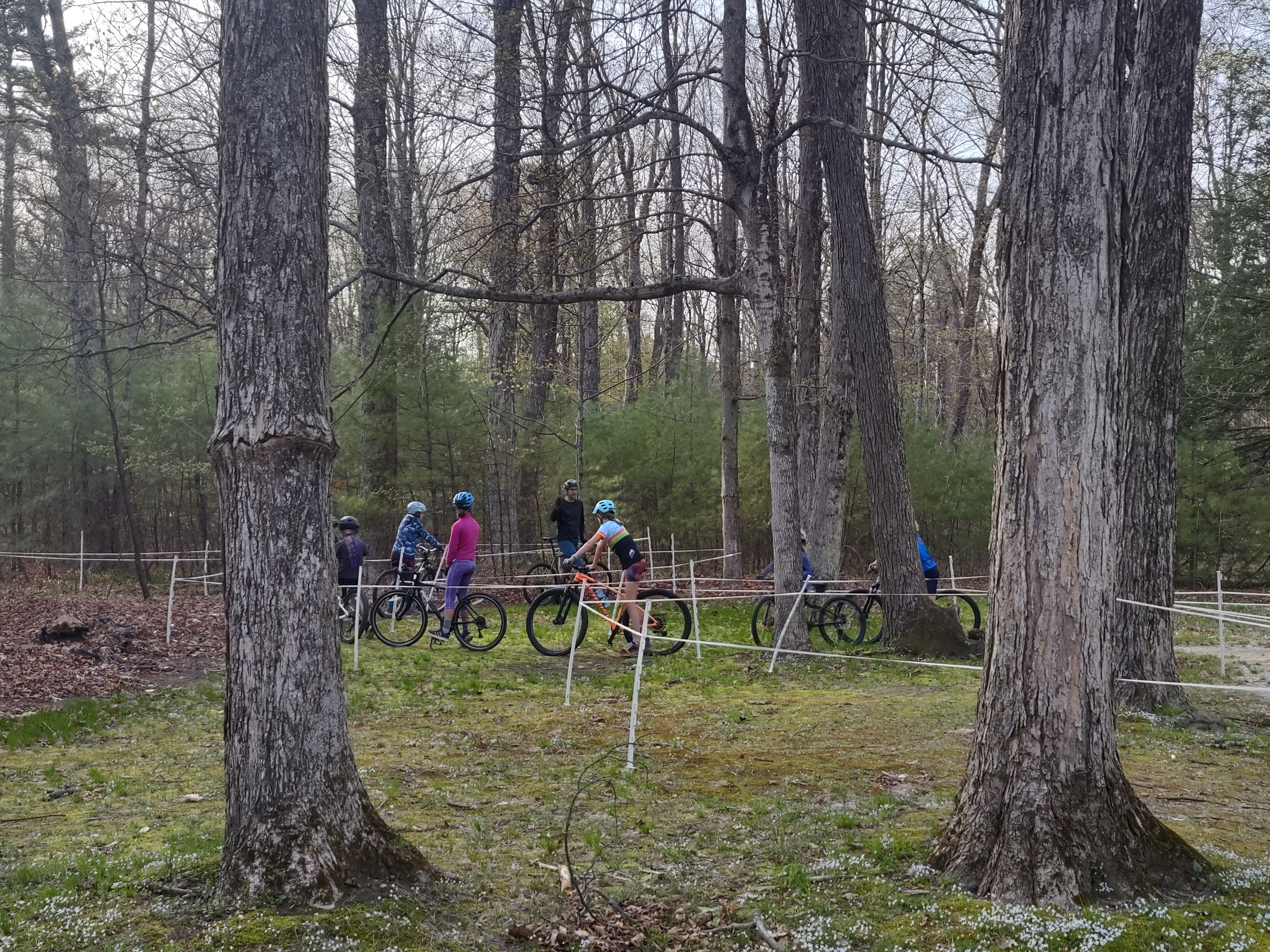 Older Group Course Run 2022