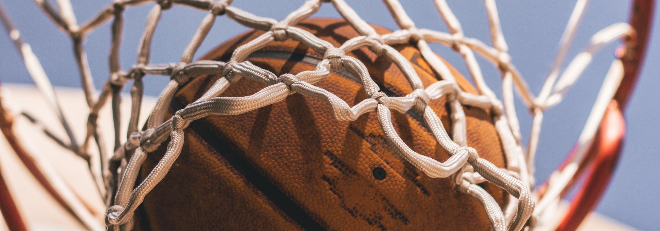 Website Image - Basketball SD