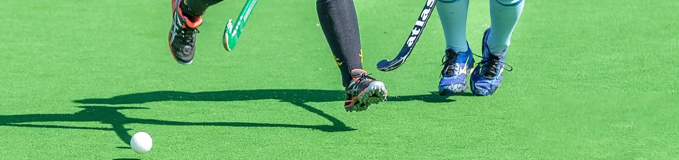 Website Image - Field Hockey SD