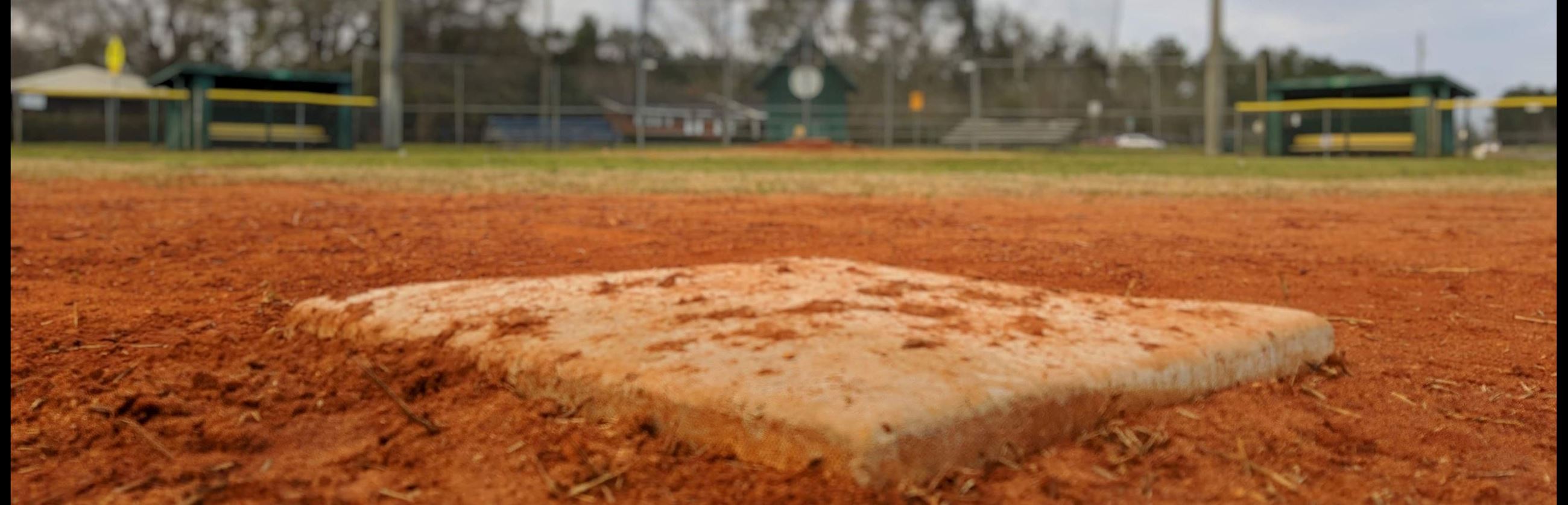 Coed Softball Website Image