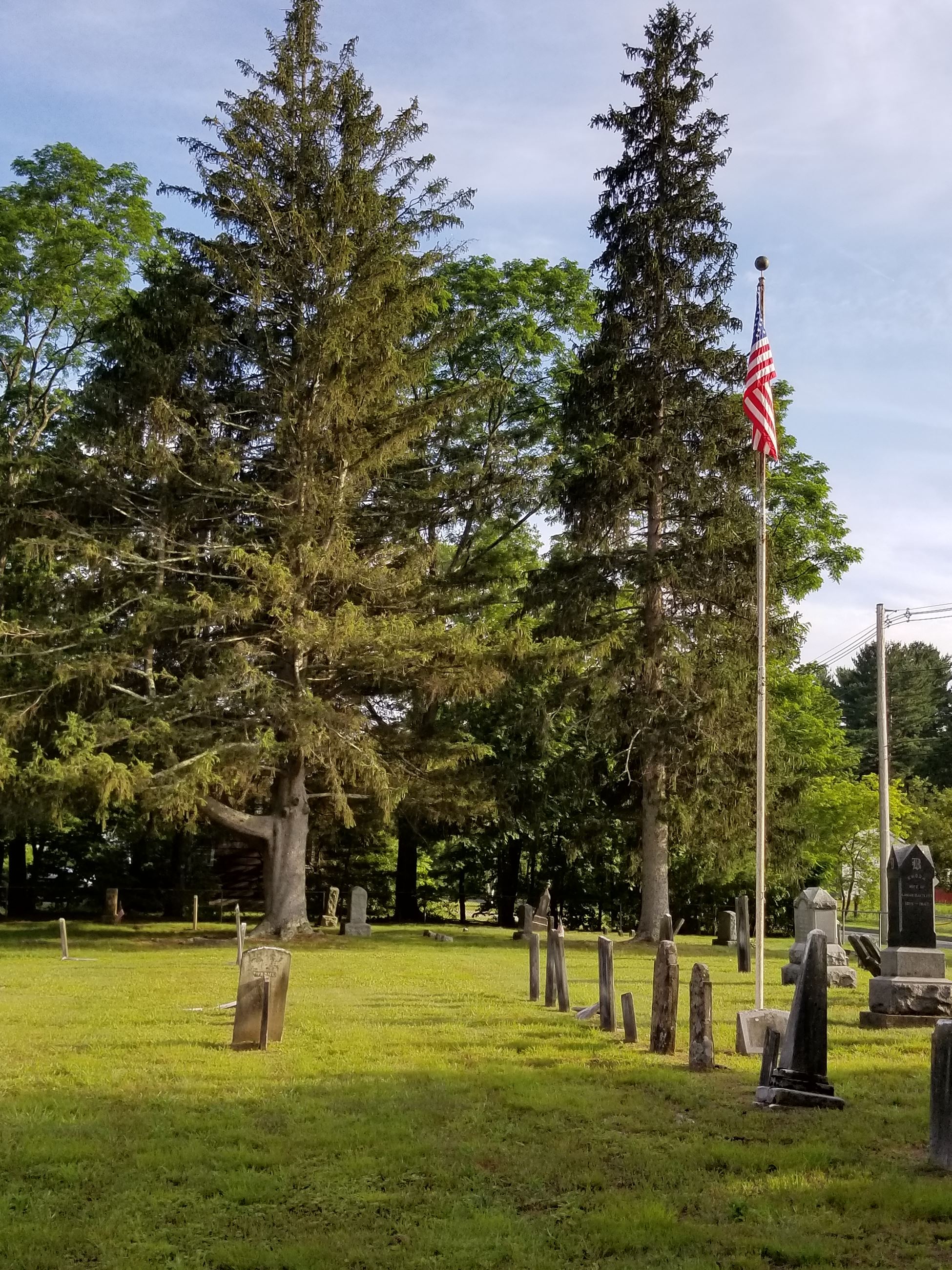 West Farms Cemetery headstones and large trees