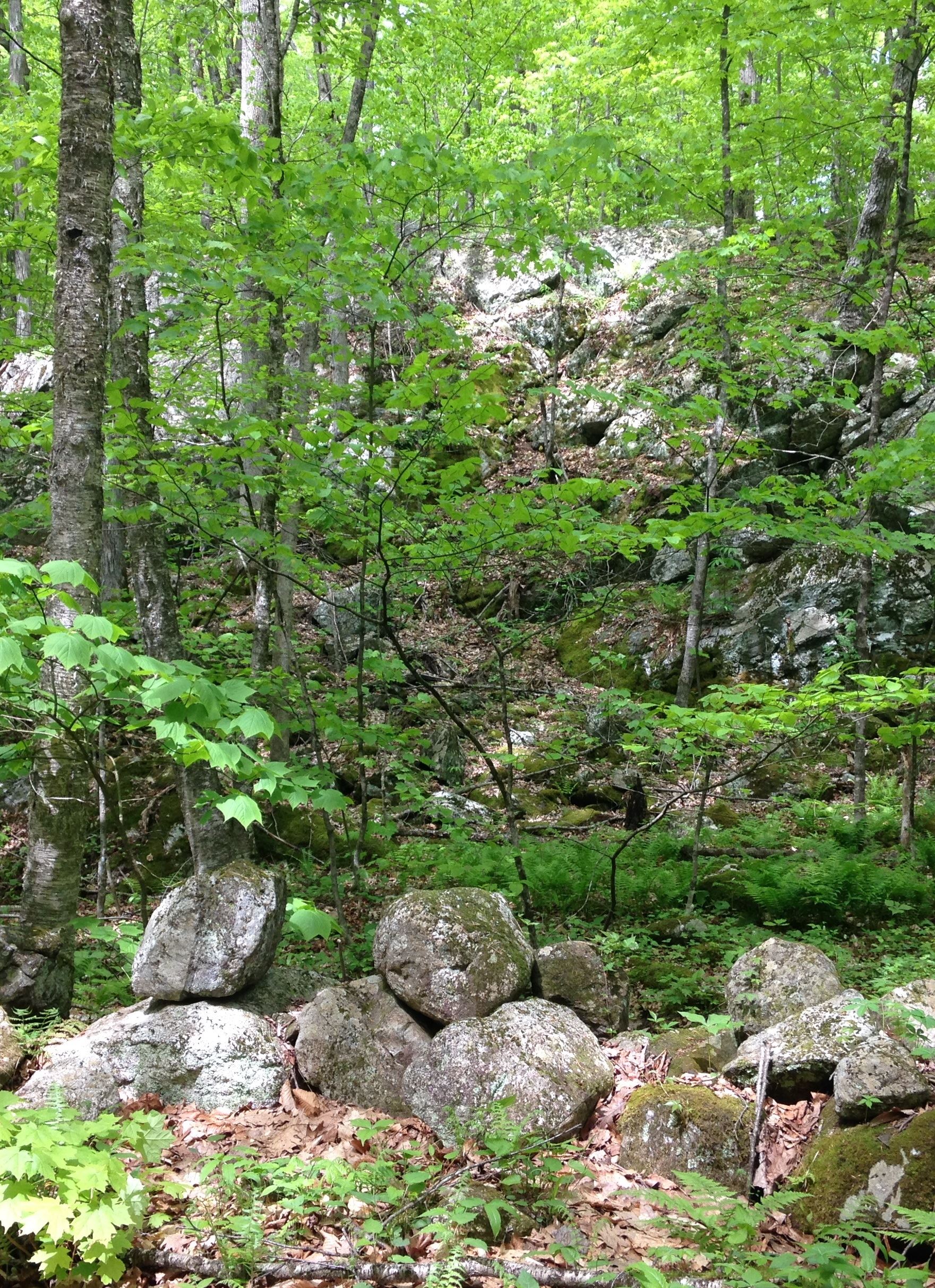 Image of Henhawk Trail