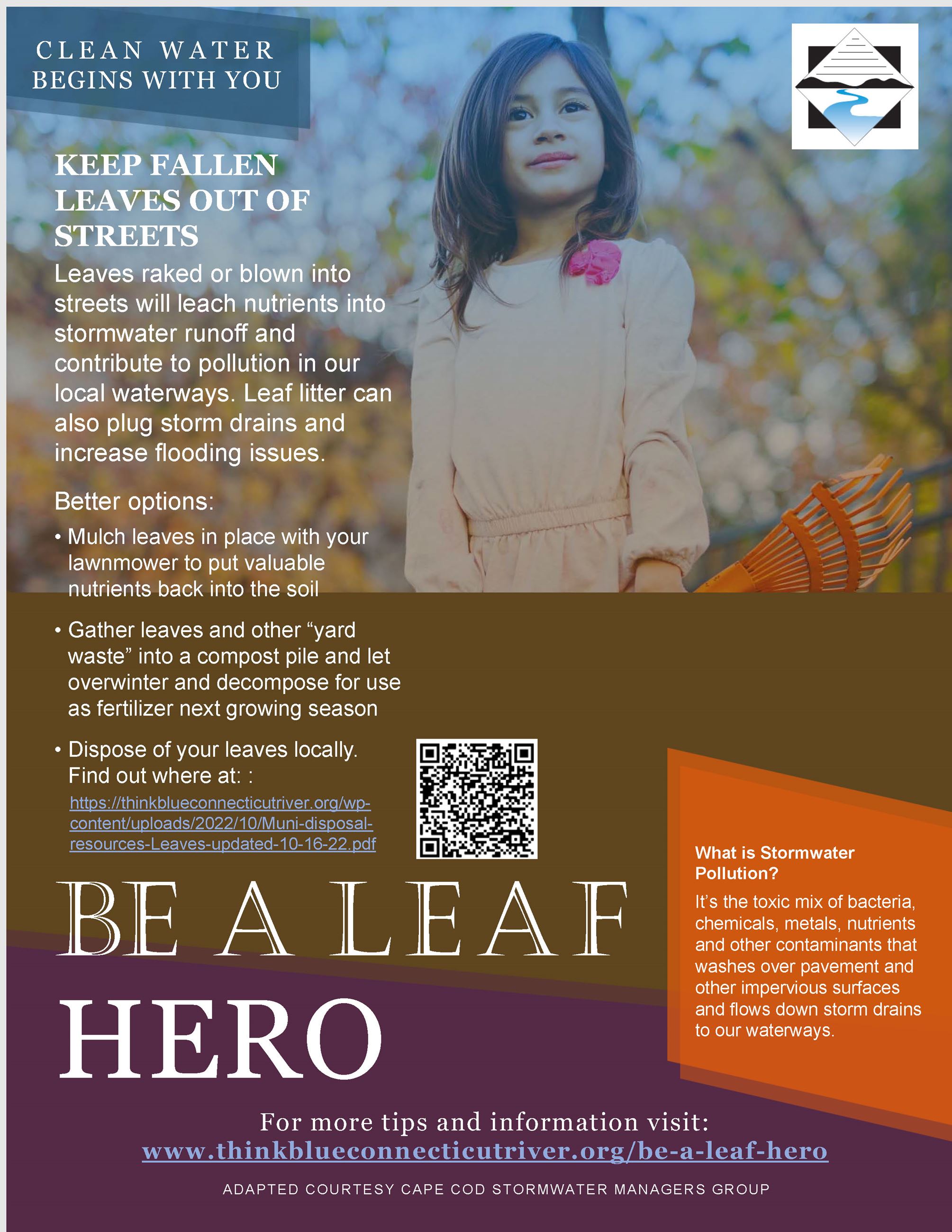 Image of Leaf Litter Info (2018) Opens in new window