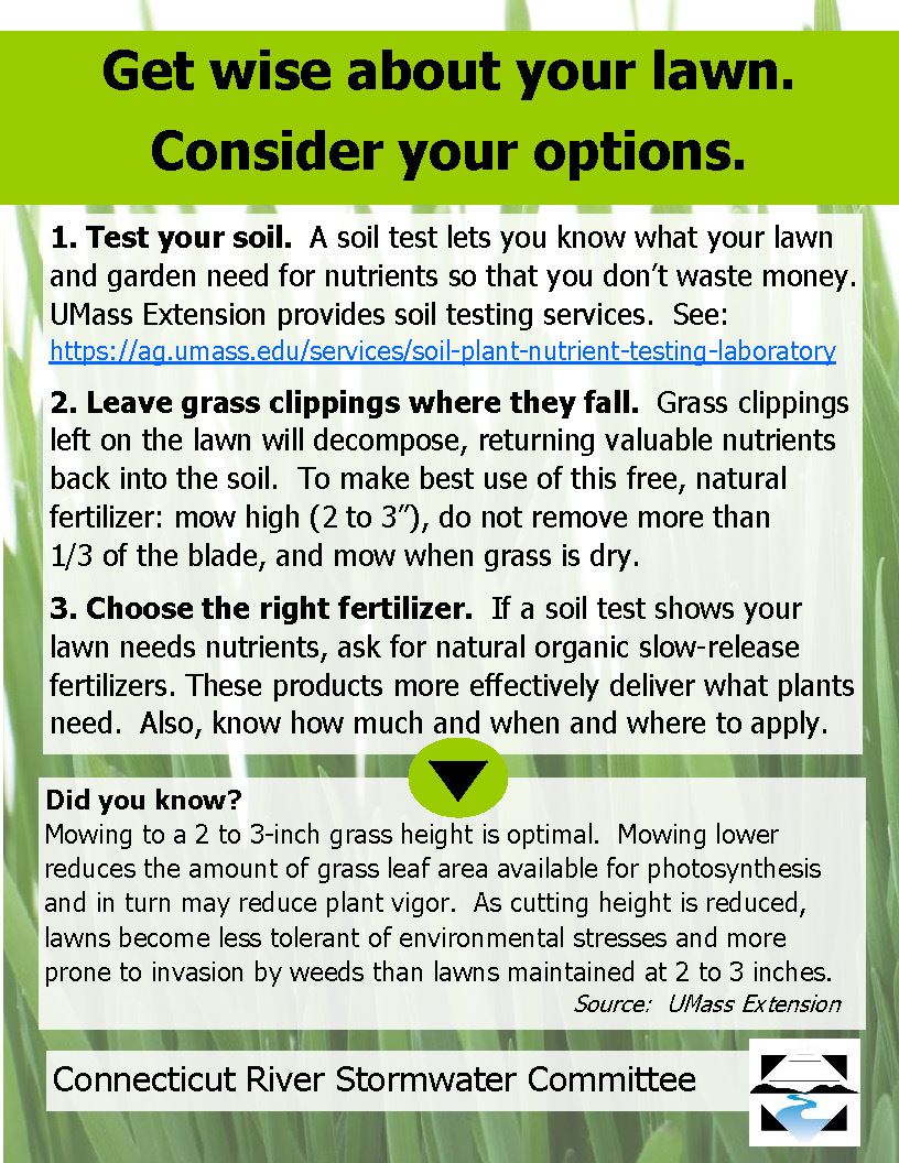 Image of Lawn Care Info Flyer 2019, Opens in new window