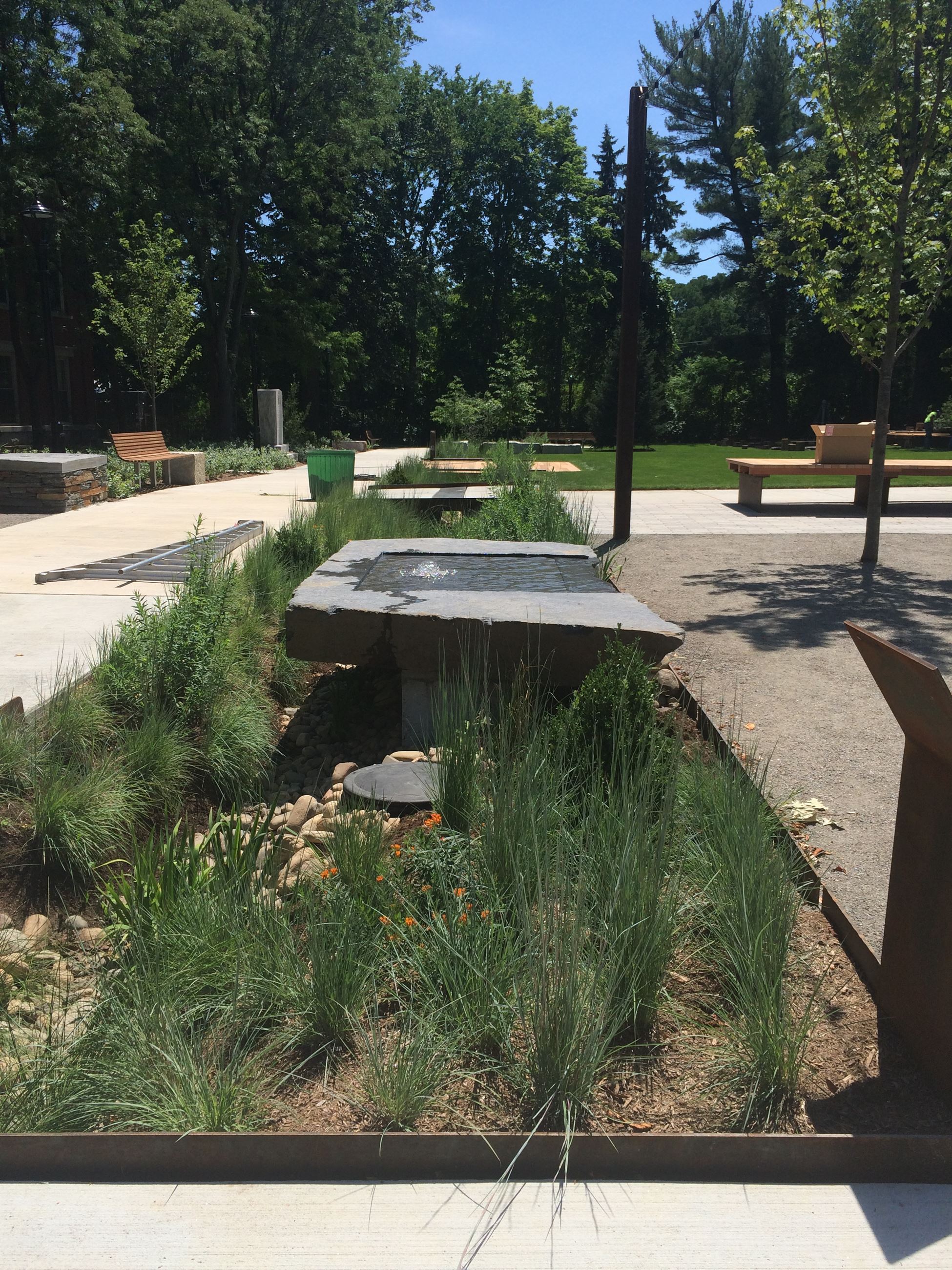 Image of Rain Garden at Pulaski Park