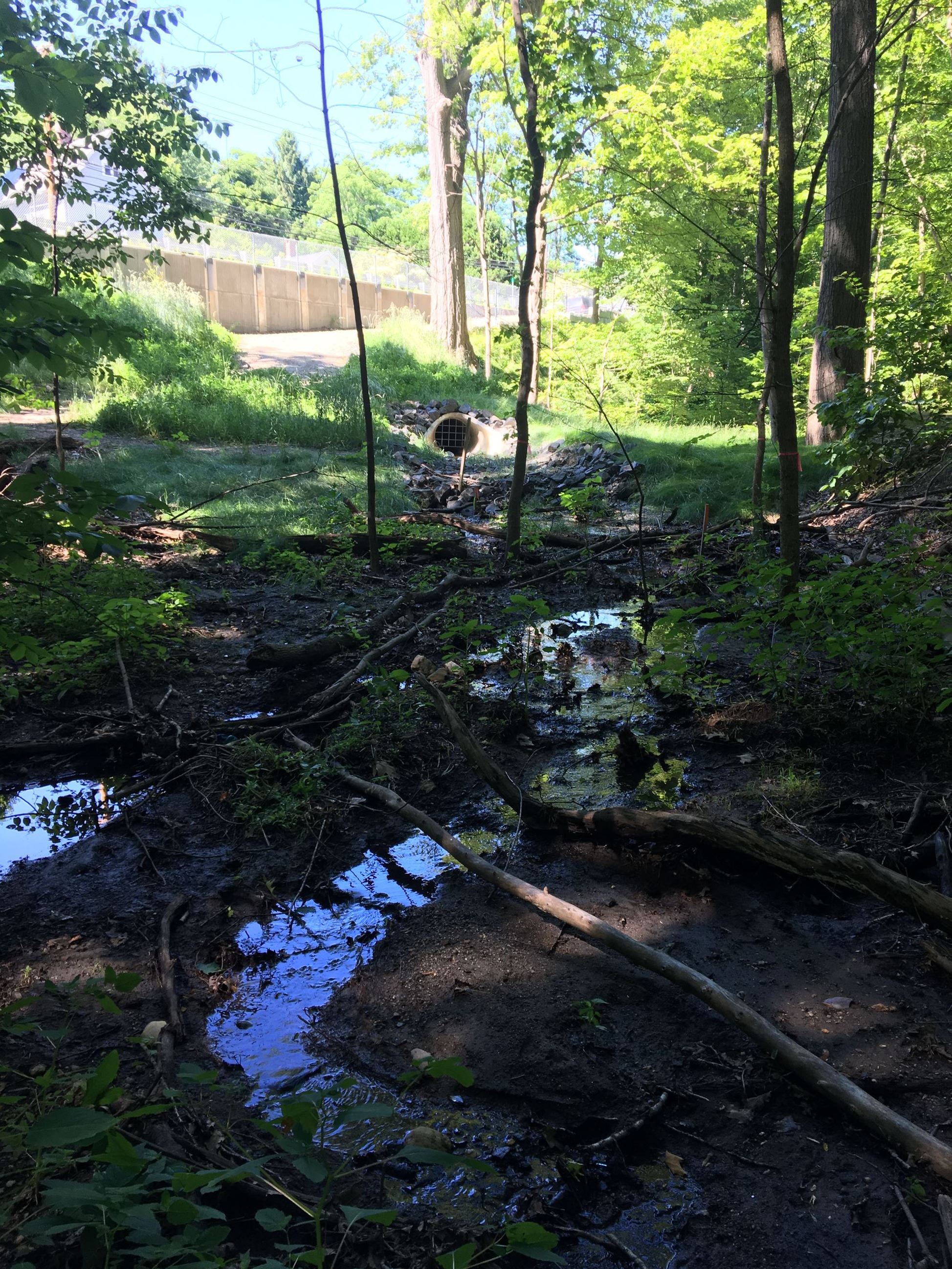 Image of Outfall at Riverside Dr & Hinckley St
