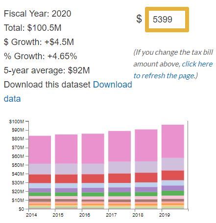 Example of Visual Budget Revenues