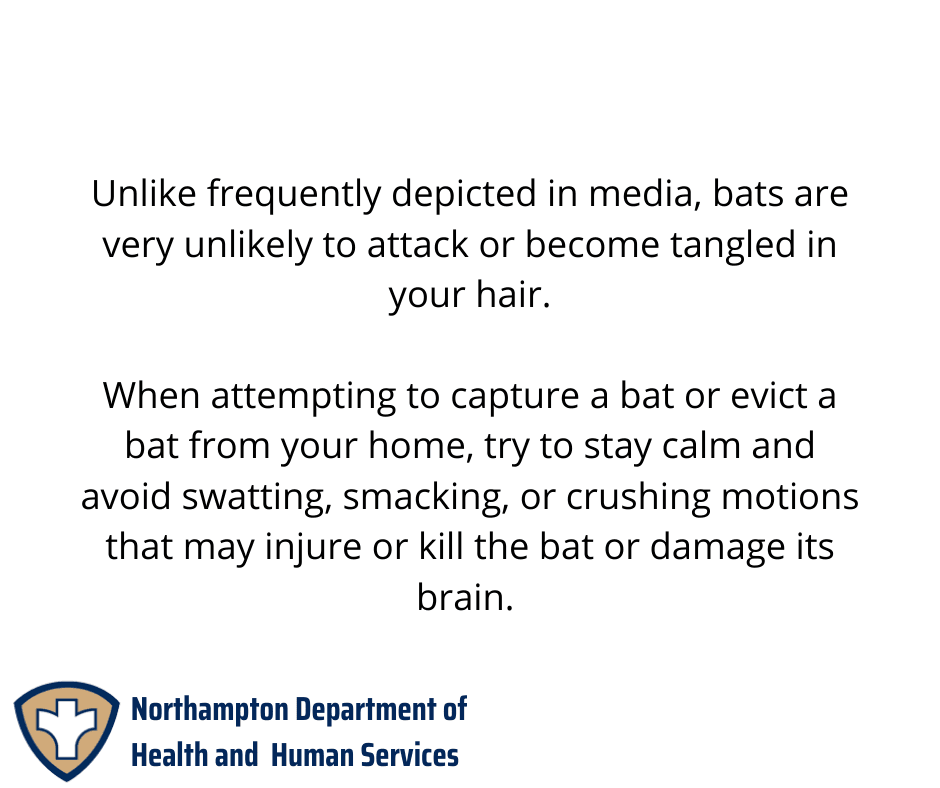 a street sign on a pole