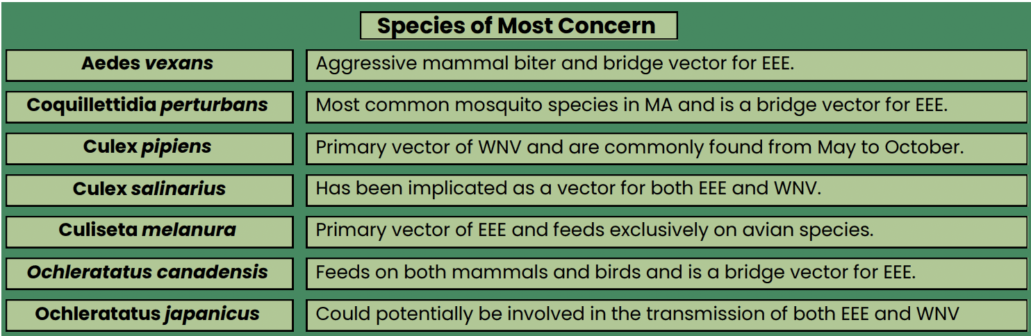Screen Shot 2024-04-19 at 8.21.55 PM