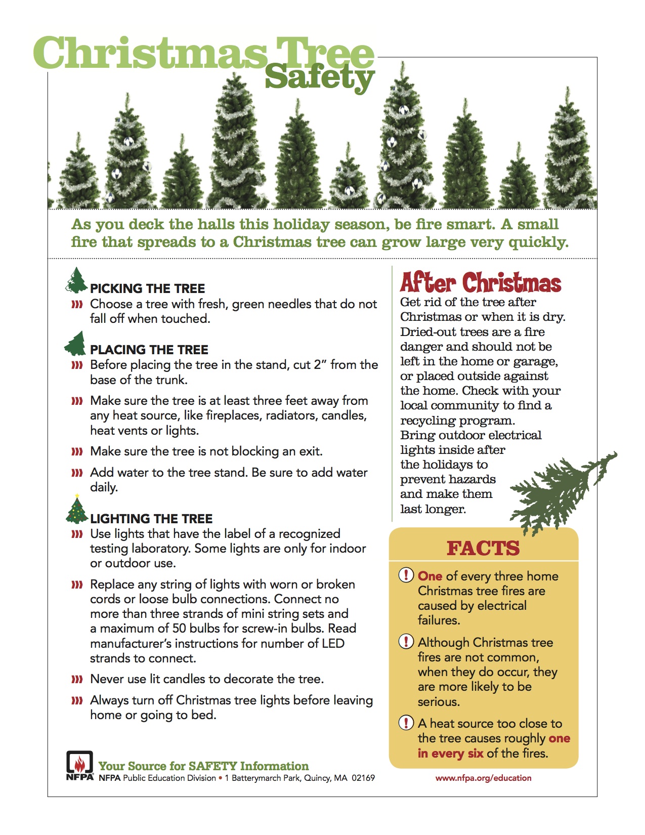 Christmas tree safety tips