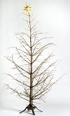 DeadChristmasTree.jpg
